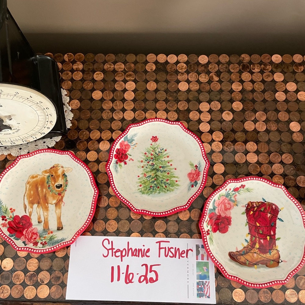 PIONEER WOMAN Festive Holiday appetizer Plates Set
